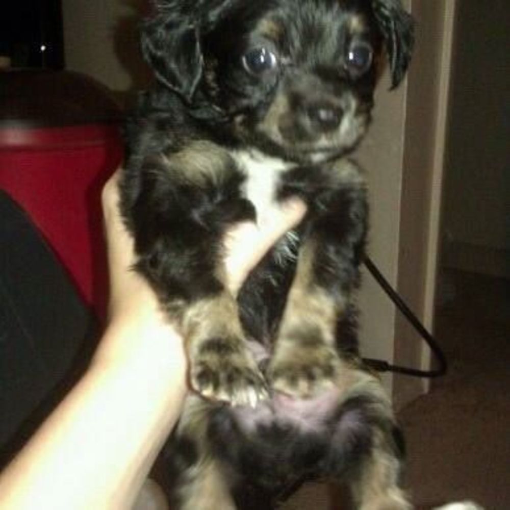 Meet your Posher, Jennifer